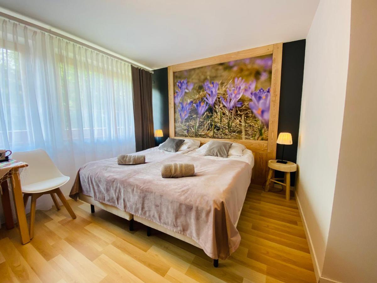 Homestay Lesna