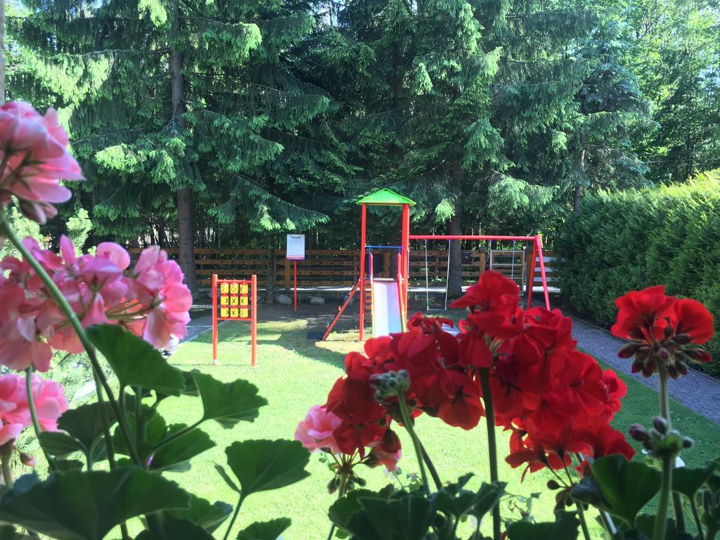 Homestay Lesna